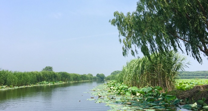 洪湖生态旅游风景区——荆州旅游