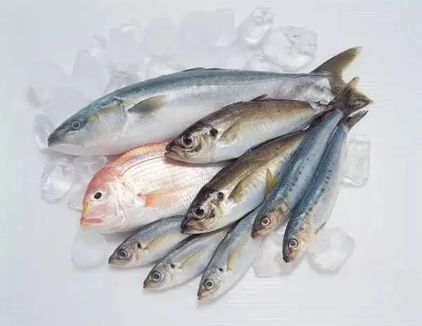 鱼肉蛋白含量高吗 鱼的营养价值